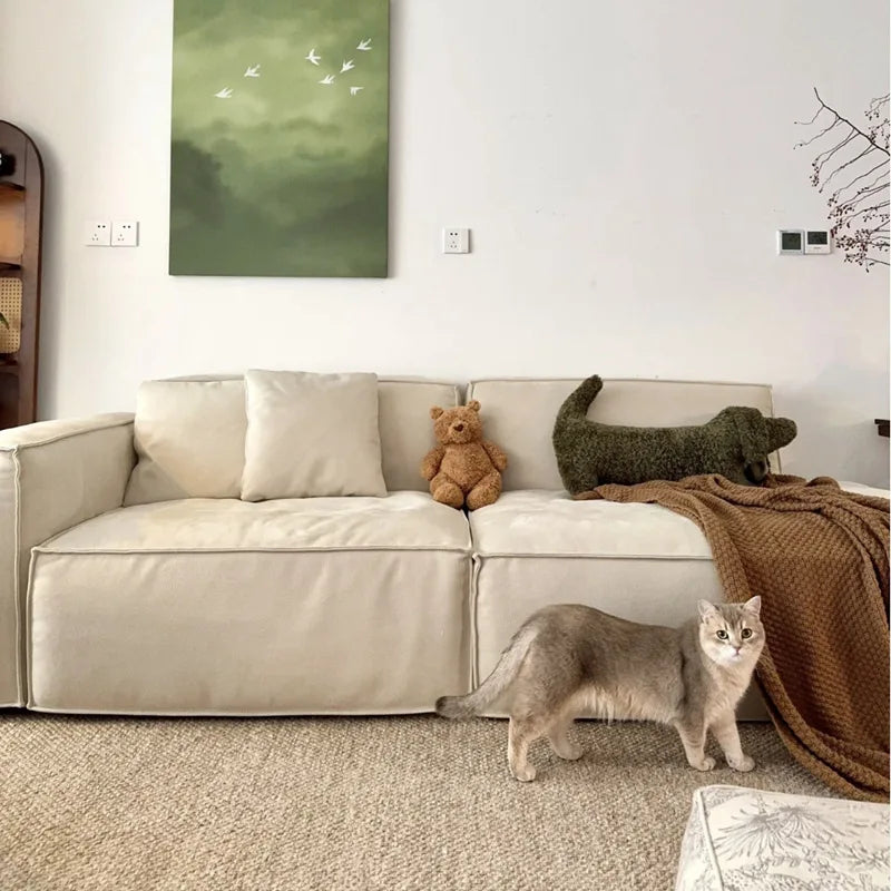 Cat standing on a carpeted floor next to a beige sofa with a dachshund-shaped cushion