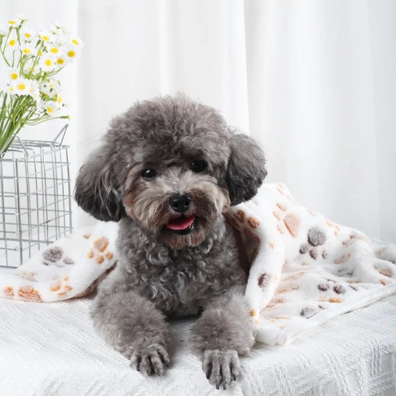 Gray dog sitting on a white blanket with paw print pattern, surrounded by flowers and a basket.