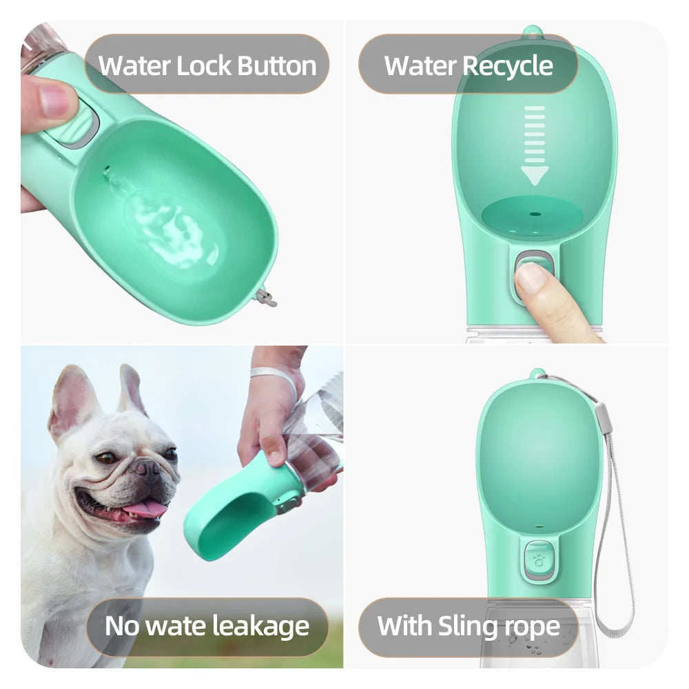 Green pet water bottle with features highlighted on a white background
