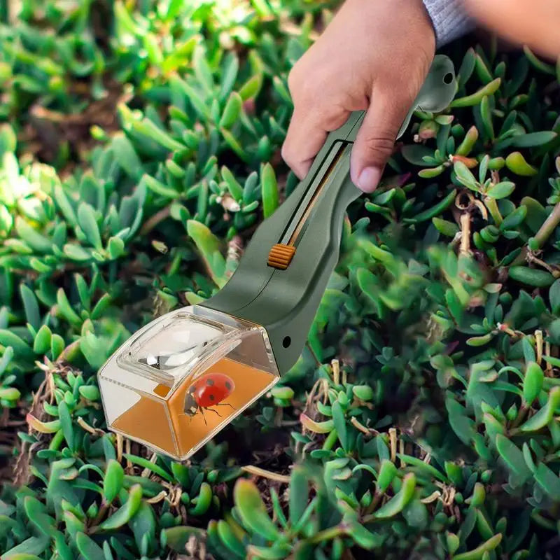 Portable handheld spider and insect catcher with magnifier lens