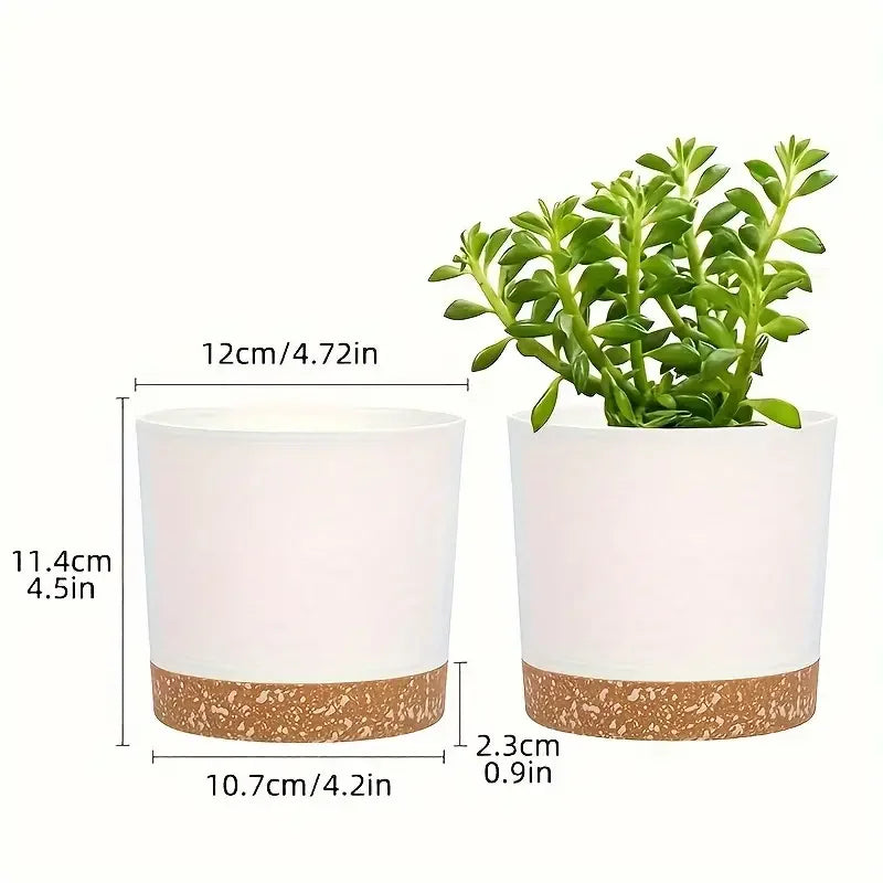 Two white planters with cork bases, one containing a green plant, with measurements indicated.