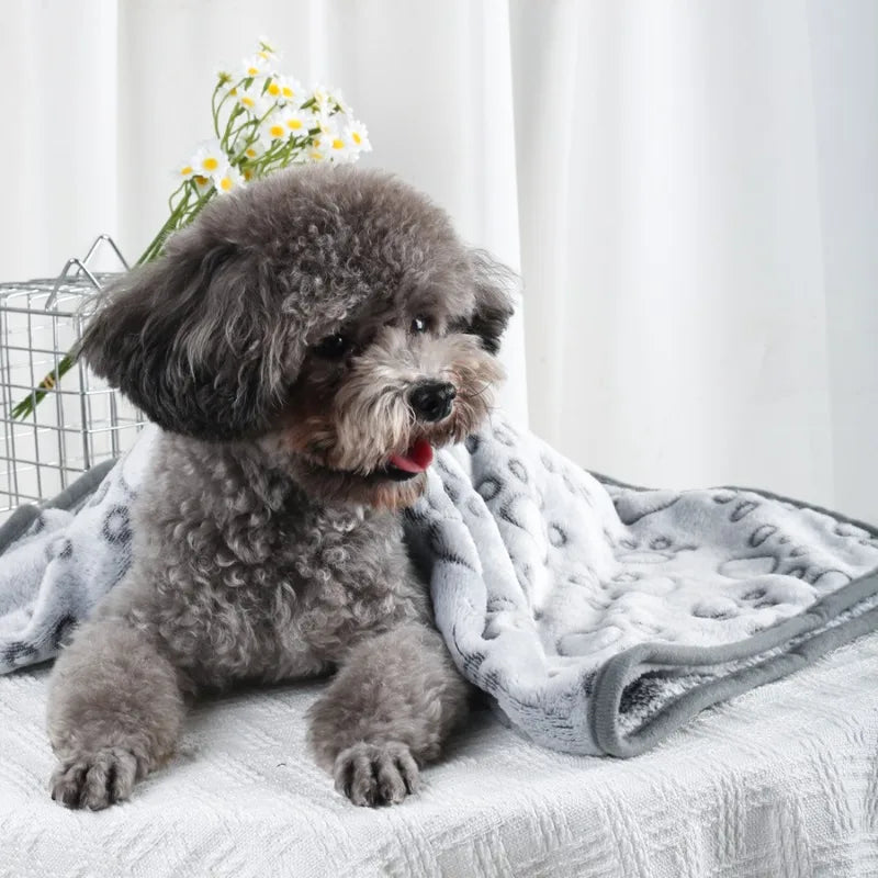 Dog sitting on a bed with a blanket and flowers in the background