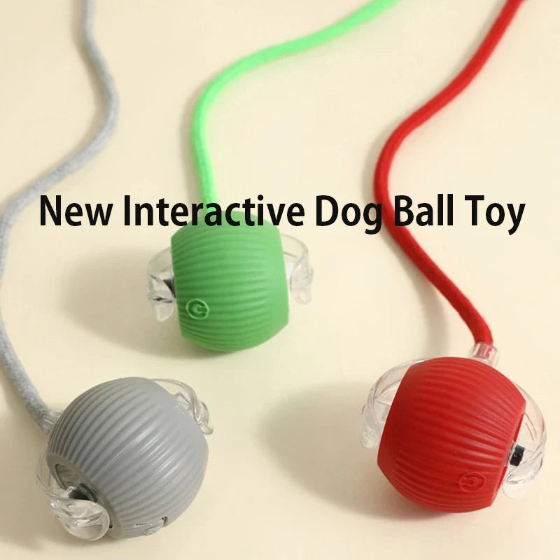 Three colorful interactive dog ball toys on a beige background with text 'New Interactive Dog Ball Toy'.