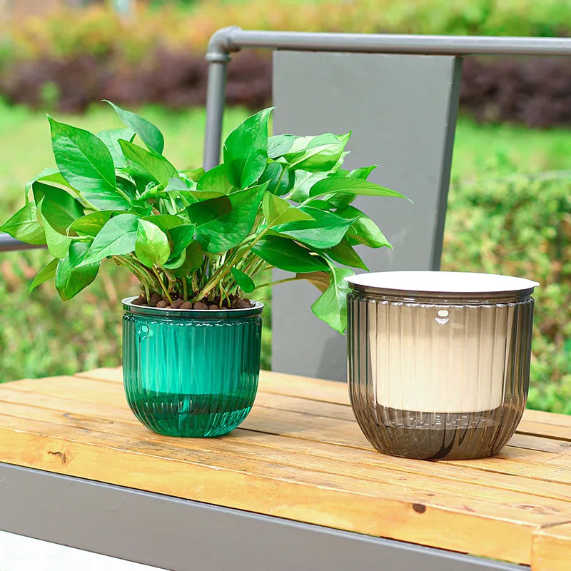 Two potted plants in aTransparent plant pot with metal chain and ribbed design for indoor plants.on a wooden surface with a blurred garden background