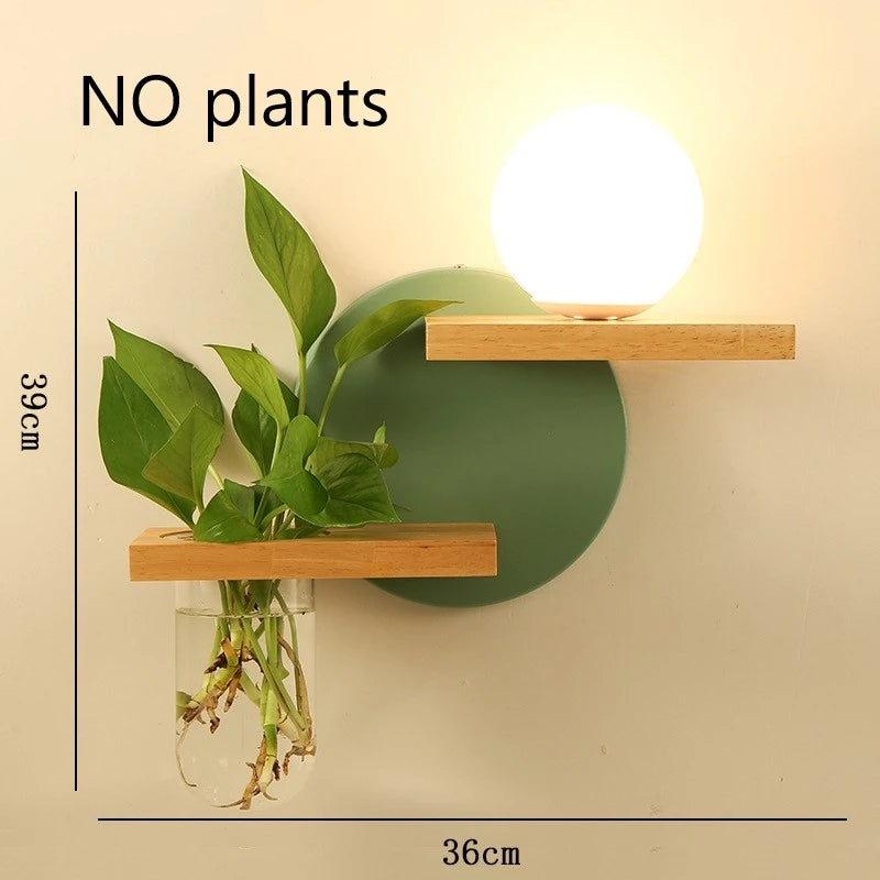 Wall-mounted plant holder with green leaves and measurements on a beige background