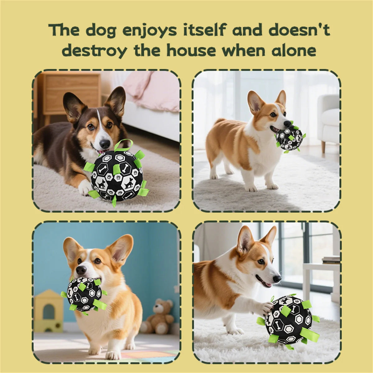 Dog playing with a black and green ball in various indoor settings.