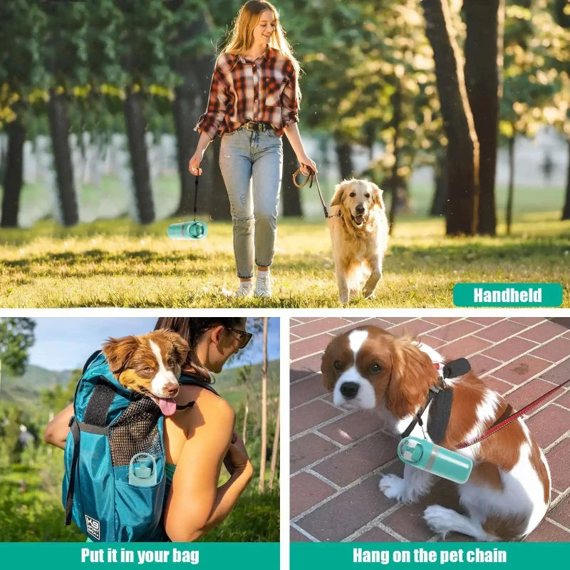Woman walking a dog with a handheld device, another woman with a dog in a backpack, and a dog on a leash with a handheld device.