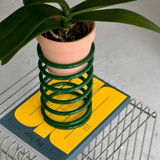 Potted plant with a green spring stand on a book