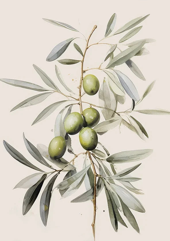 Illustration of an olive branch with green olives on a light background