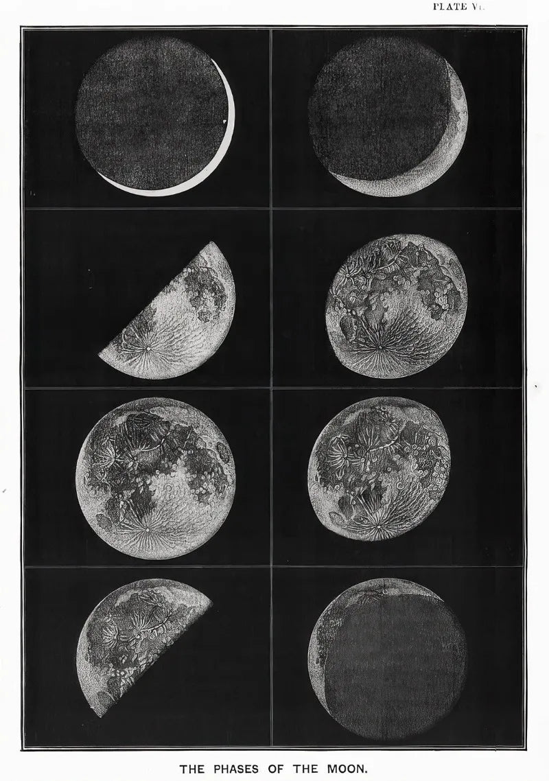 Poster showing the different positions of the moon