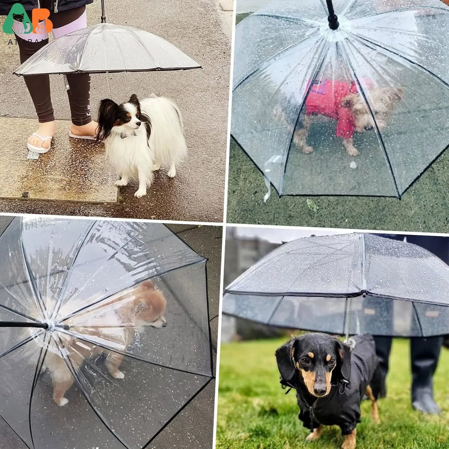 Clear dog umbrella with built-in leash protecting a small dog from rain during outdoor walk