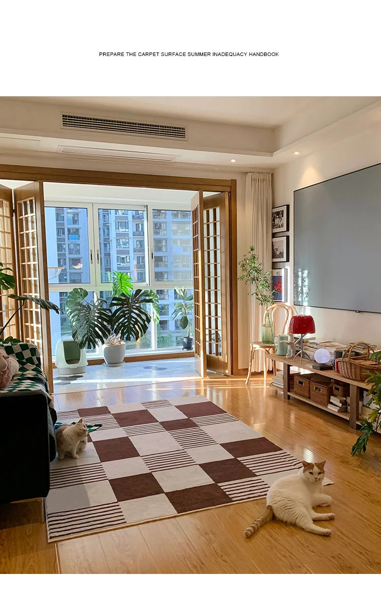 Living room with a checkered rug, cat, and large windows.