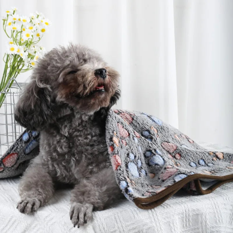 Dog lying on a floral-patterned blanket with a white curtain and flowers in the background