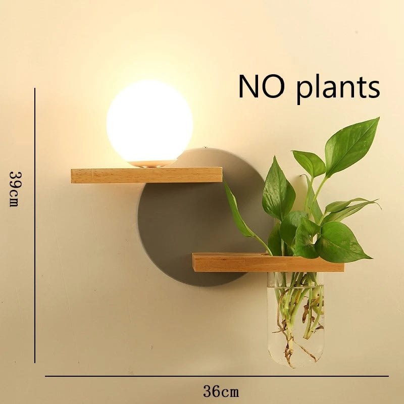 Wall-mounted plant holder with a light bulb and a plant on a beige wall.