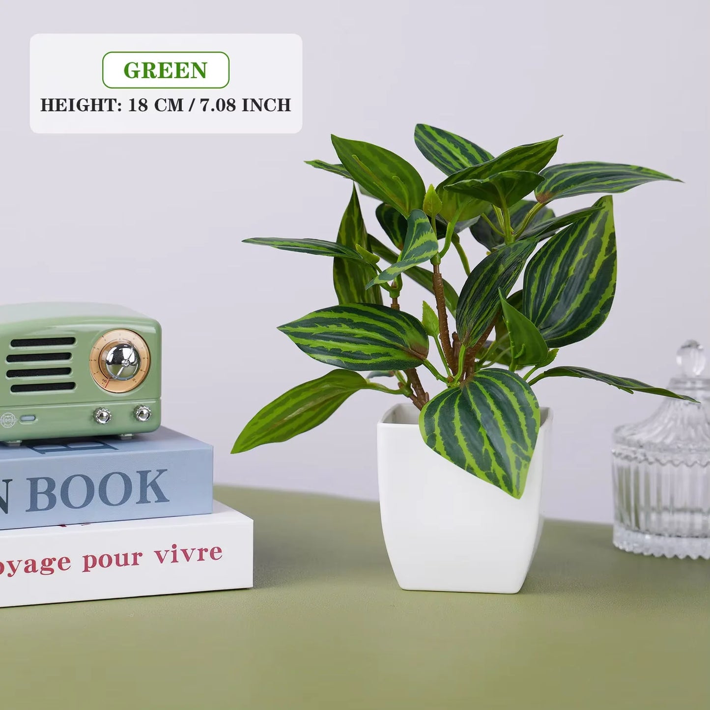 Potted plant with green leaves on a surface with books and a small radio.