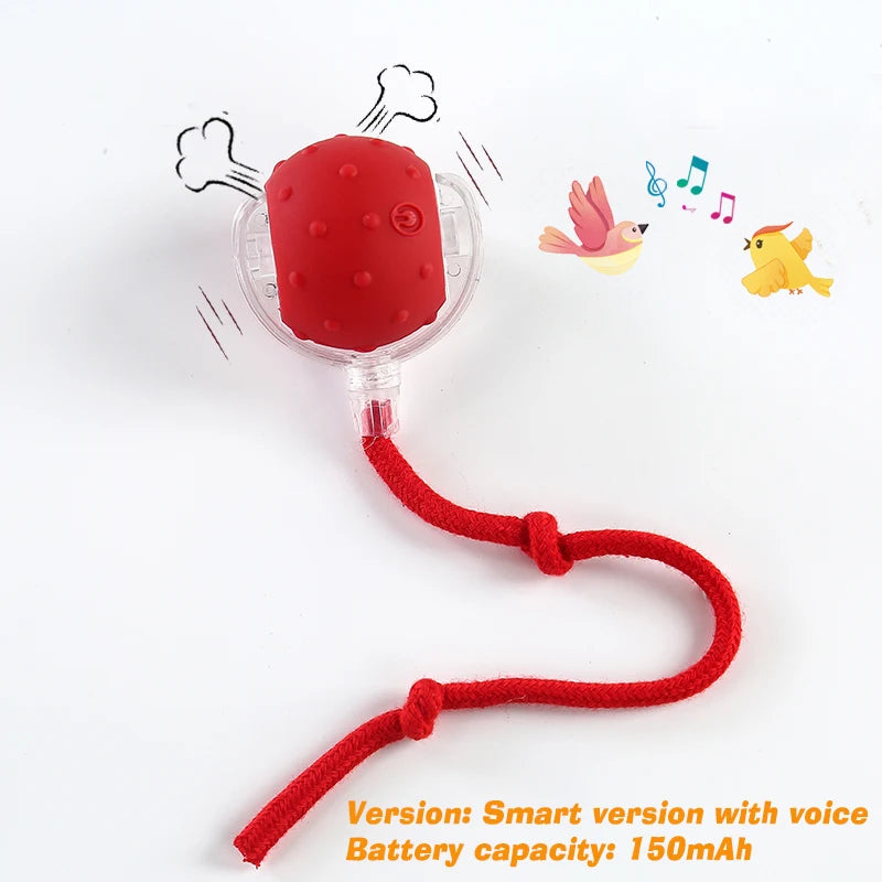 Red dog toy with a rope on a white background, featuring text about battery capacity and version.