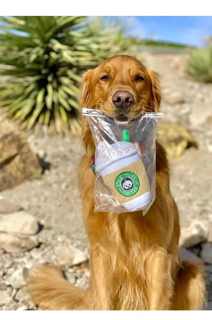 Dog holding a plastic cup with a straw in its mouth outdoors.