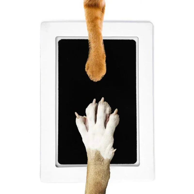 Pet paw pressing a digital pad with a screen, on a white background