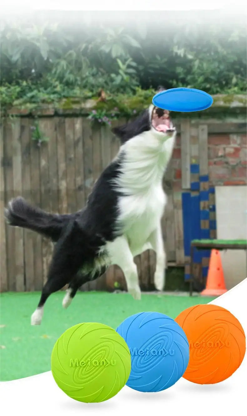 Dog playing with a blue frisbee in an outdoor setting with additional frisbees displayed below.