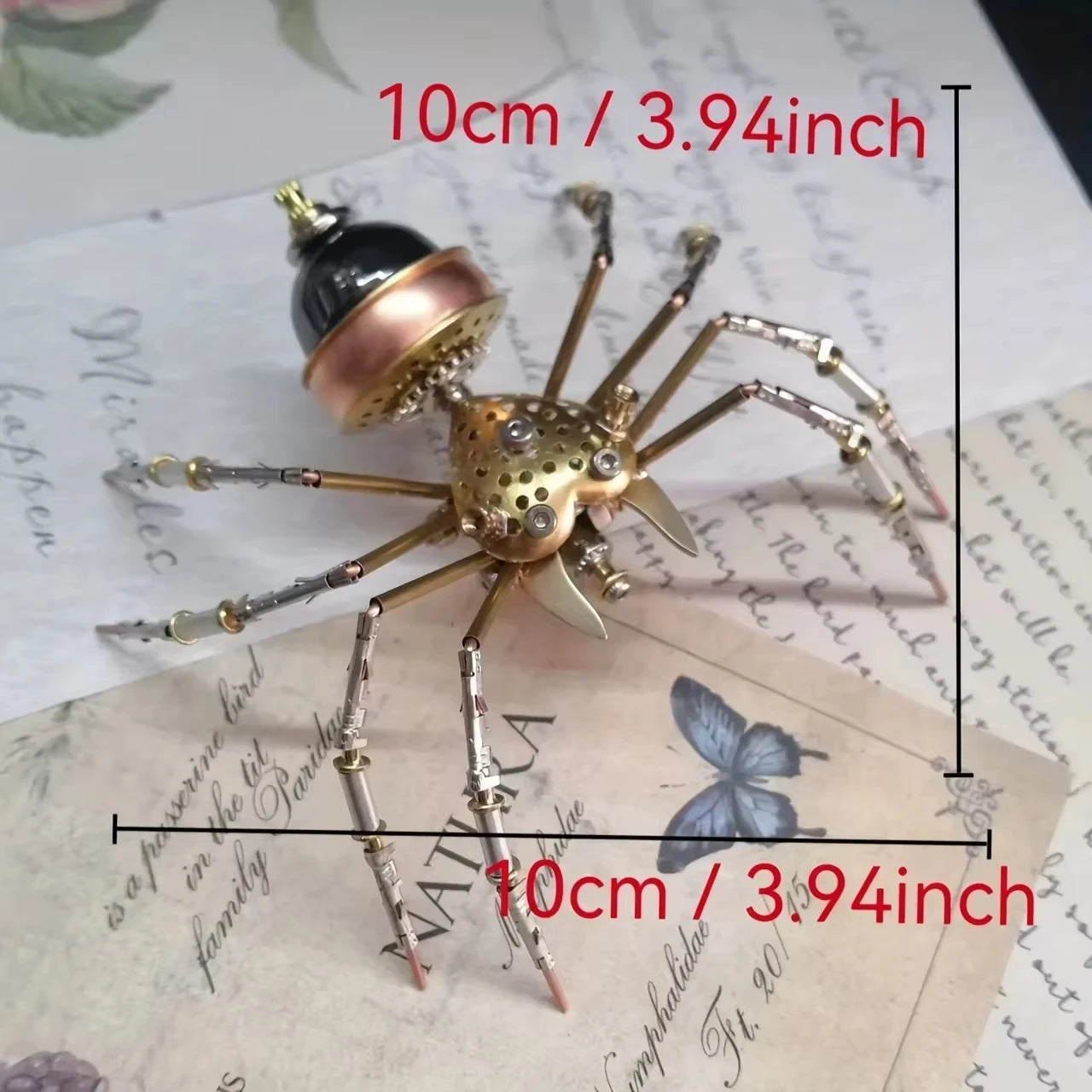 Decorative spider with measurement details on a vintage-style paper background