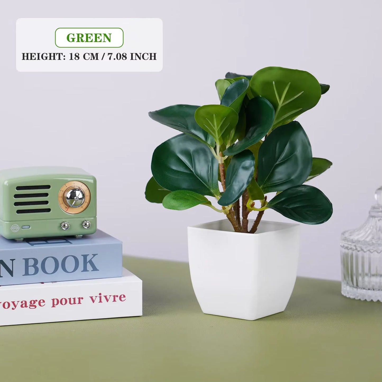 Potted plant on a table with books and a small radio, labeled 'Green' with height information.