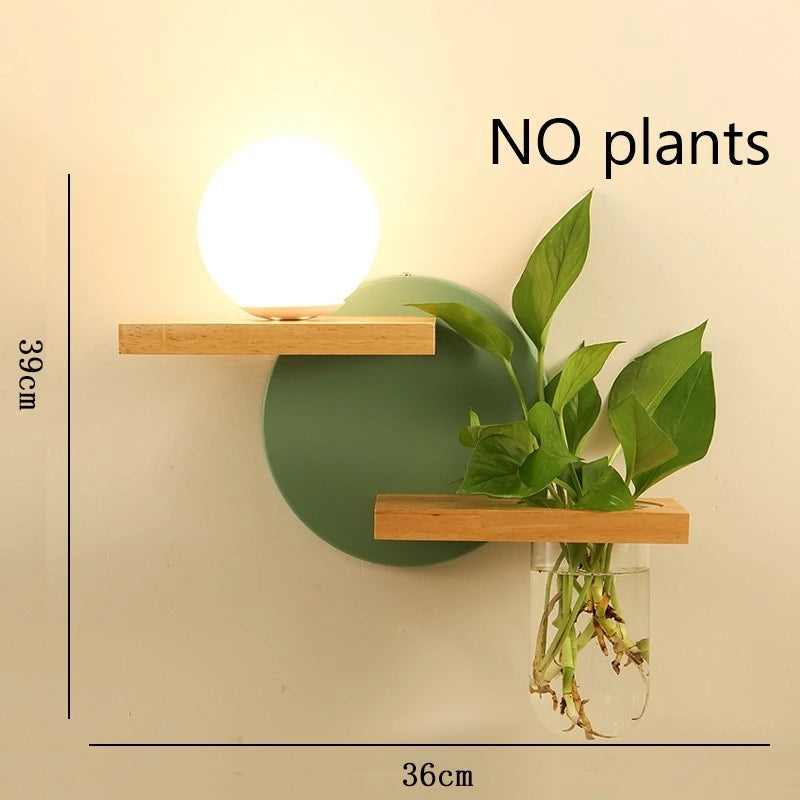 Wall-mounted plant holder with a plant on a beige background