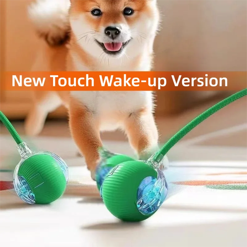 Dog playing with a green and blue toy, with text 'New Touch Wake-up Version' on a blurred background.