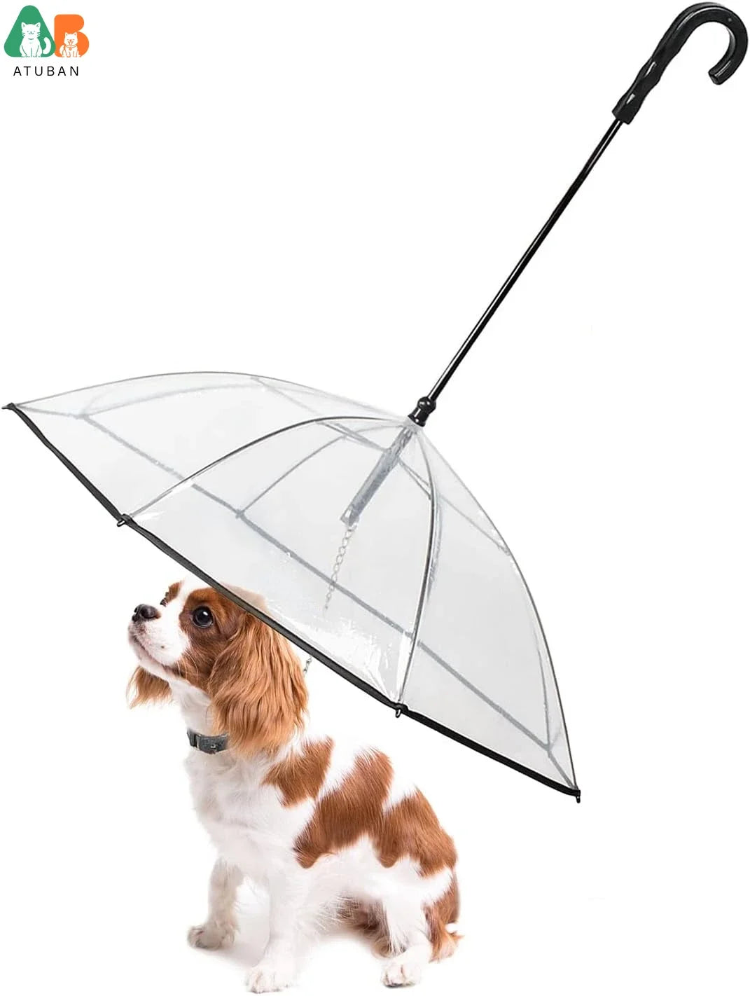 Clear pet umbrella with a dog underneath on a white background