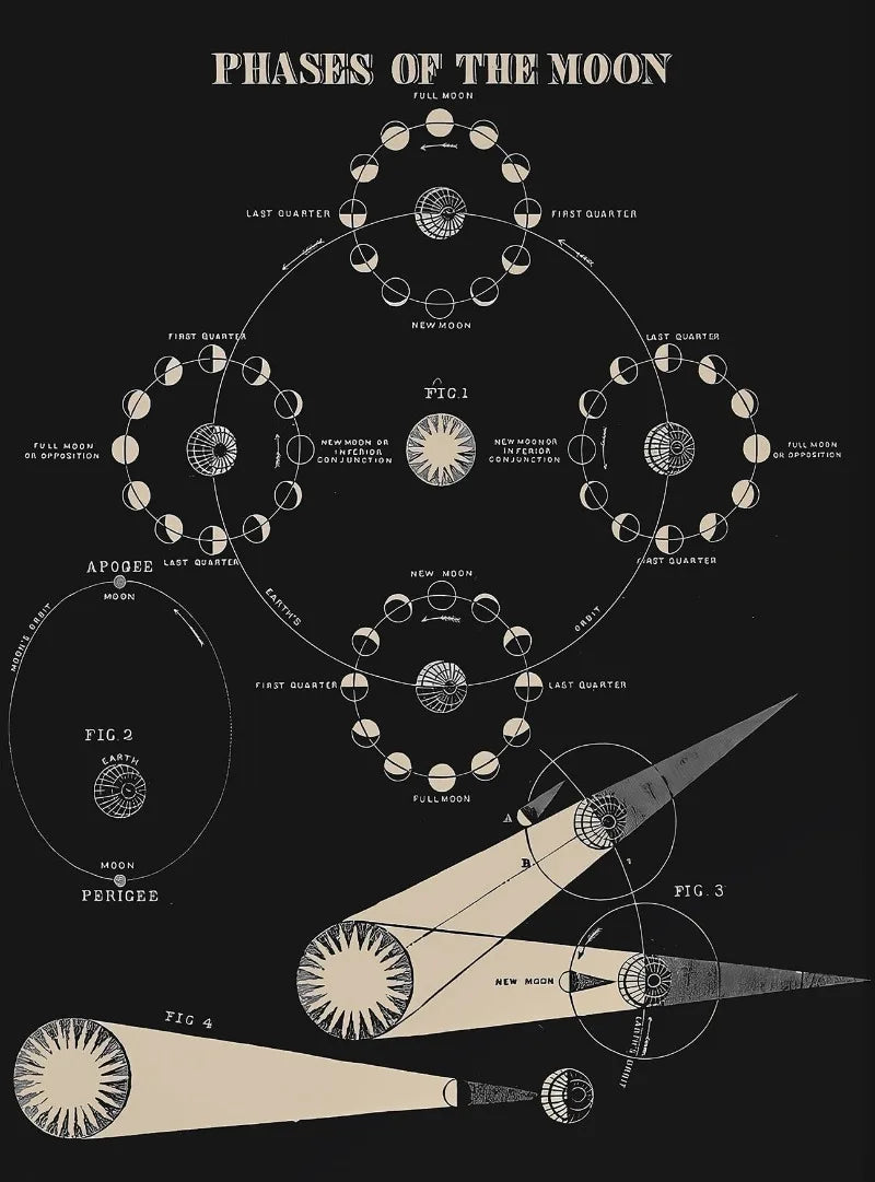 Diagram of the phases of the moon with labels on a black background