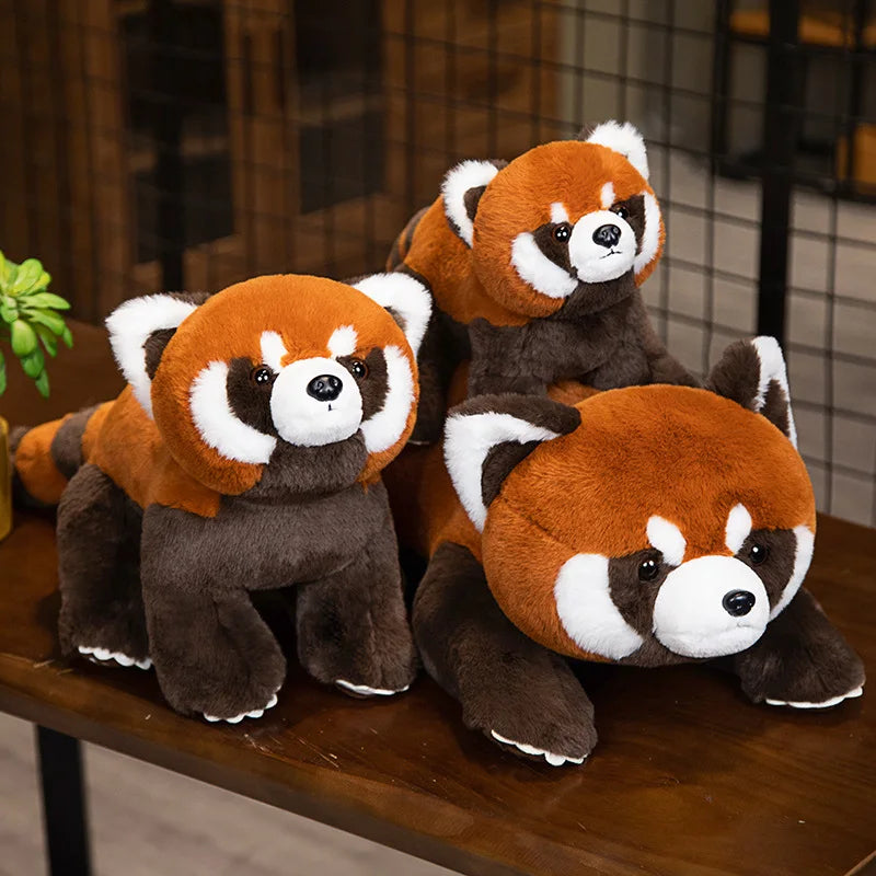 Three plush red pandas on a wooden surface with a blurred background