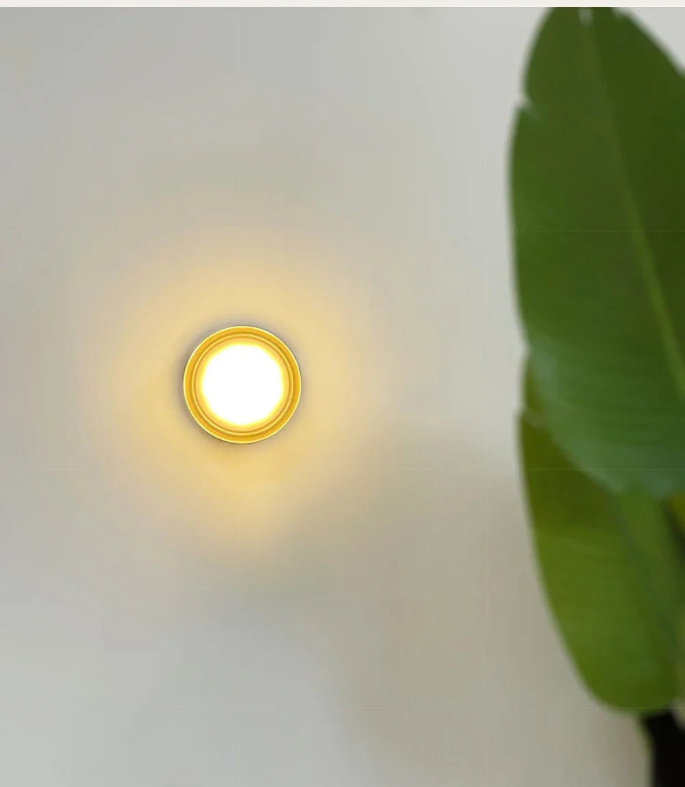 Round wall light fixture on a white wall with a green leaf in the corner