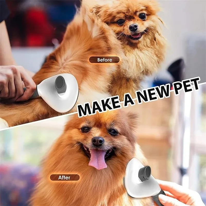 Dog being groomed with a hair trimmer, showing 'Before' and 'After' effects.