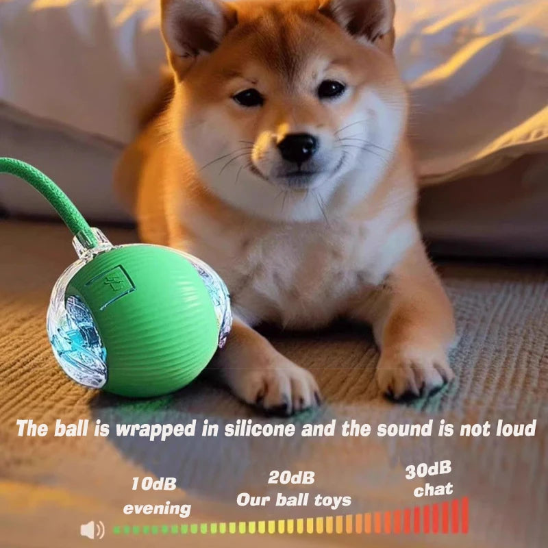 Dog lying on a carpet with a green ball toy next to it, with text about the ball's features.