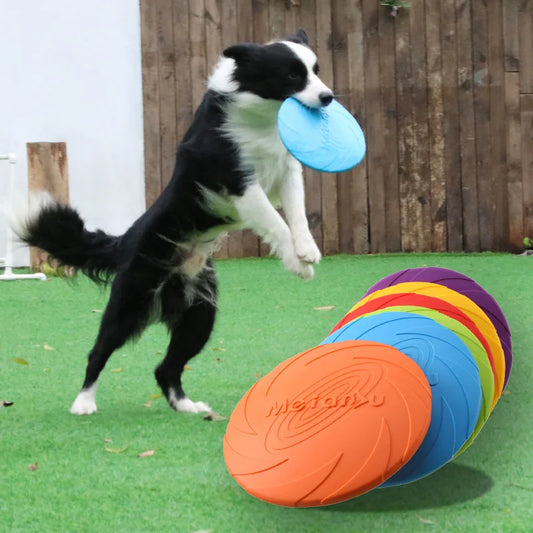 Colourful dog flying disc toys in different sizes showing suitability for small, large and jumbo dogs