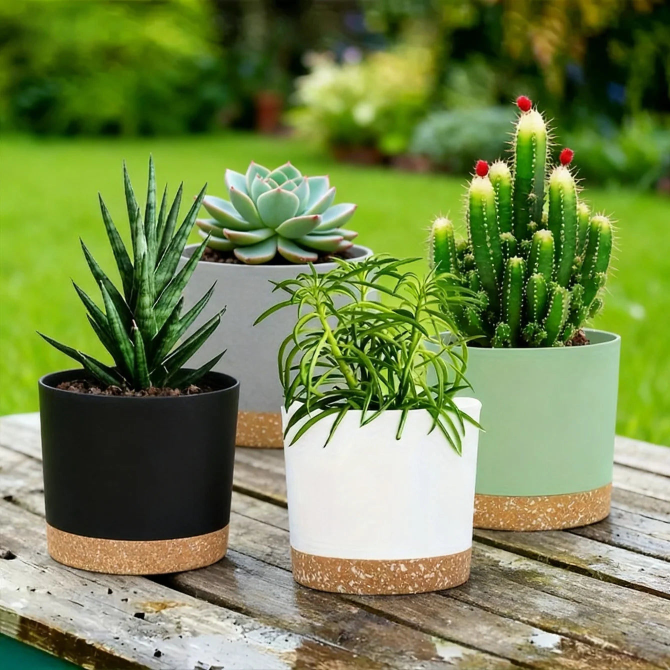 Collection of potted plants on a wooden table with a garden background