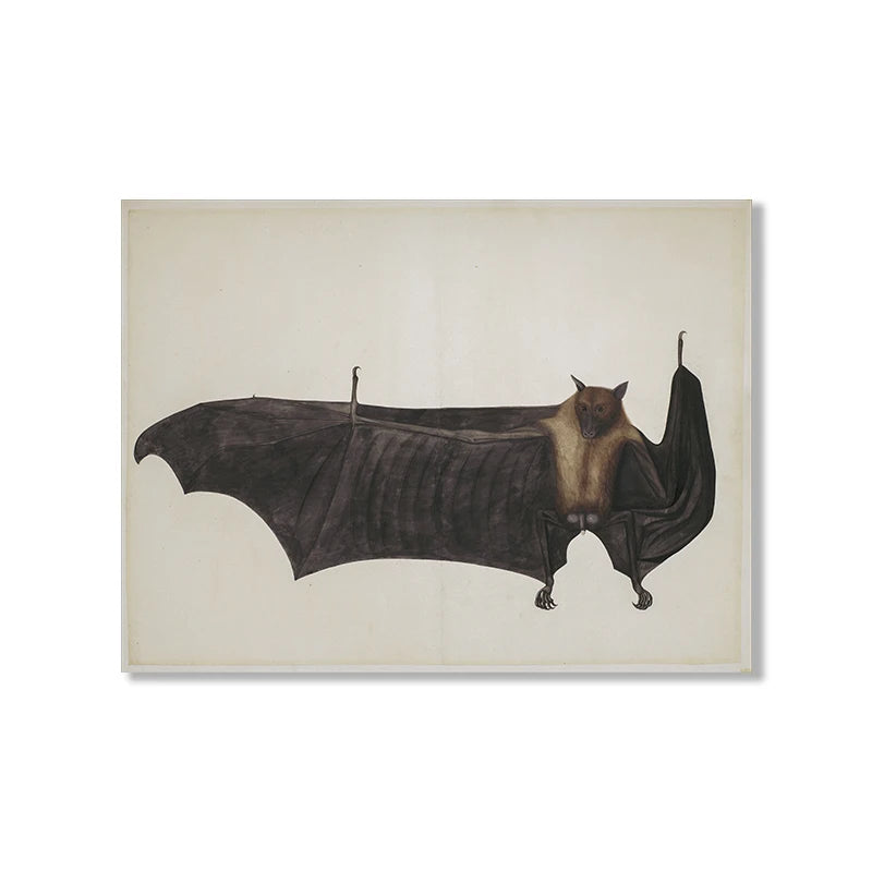 Illustration of a bat hanging upside down on a beige background