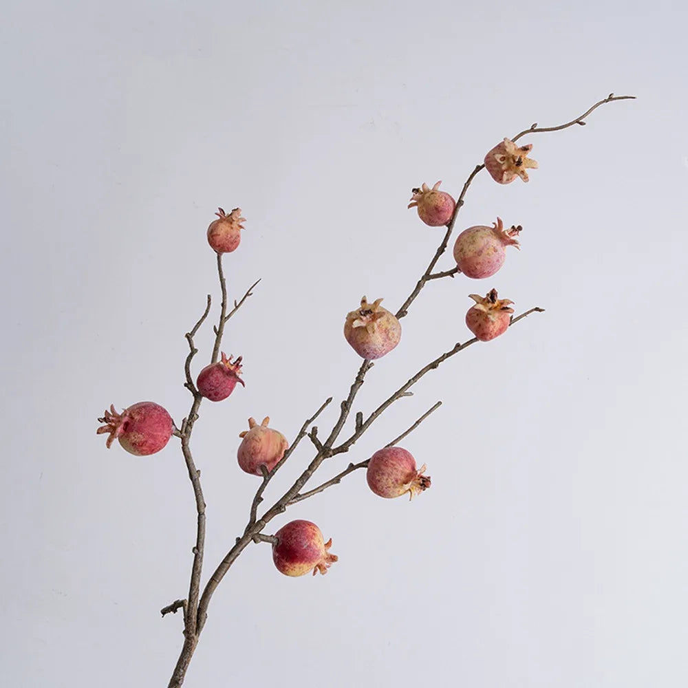Dried pomegranate branches against a light gray background