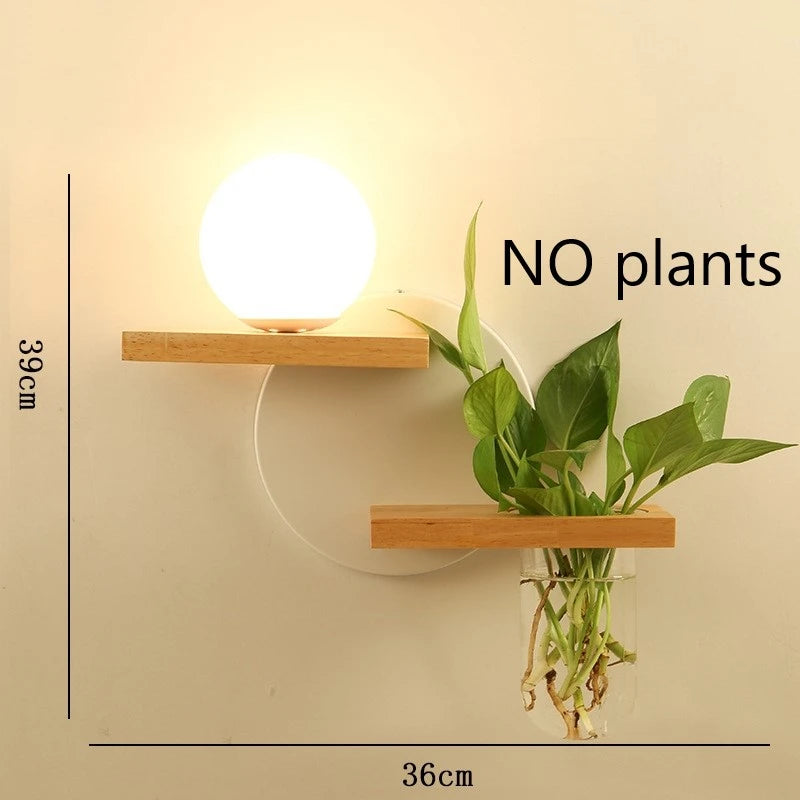 Wall-mounted shelves with a light bulb and plant on a beige background