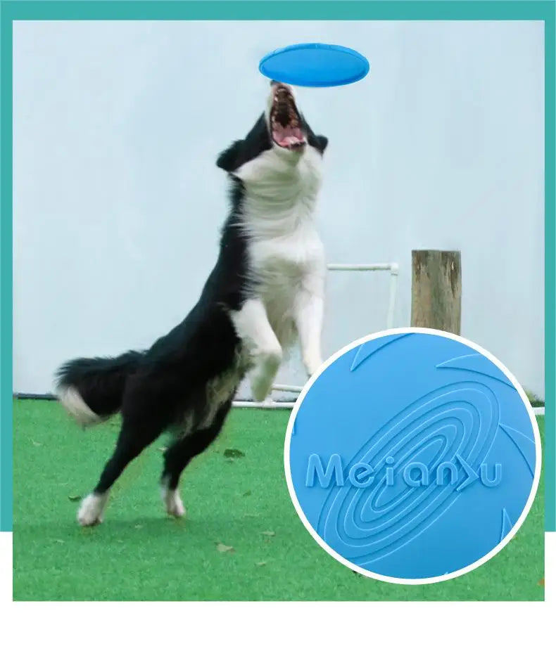 Dog catching a blue frisbee with 'Meianu' branding inset.