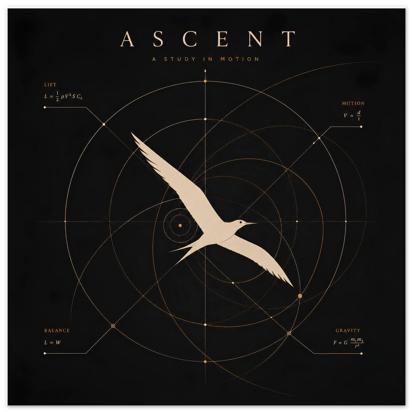 Close-up of a minimalist bird wall art print featuring geometric diagrams inspired by the science of flight.