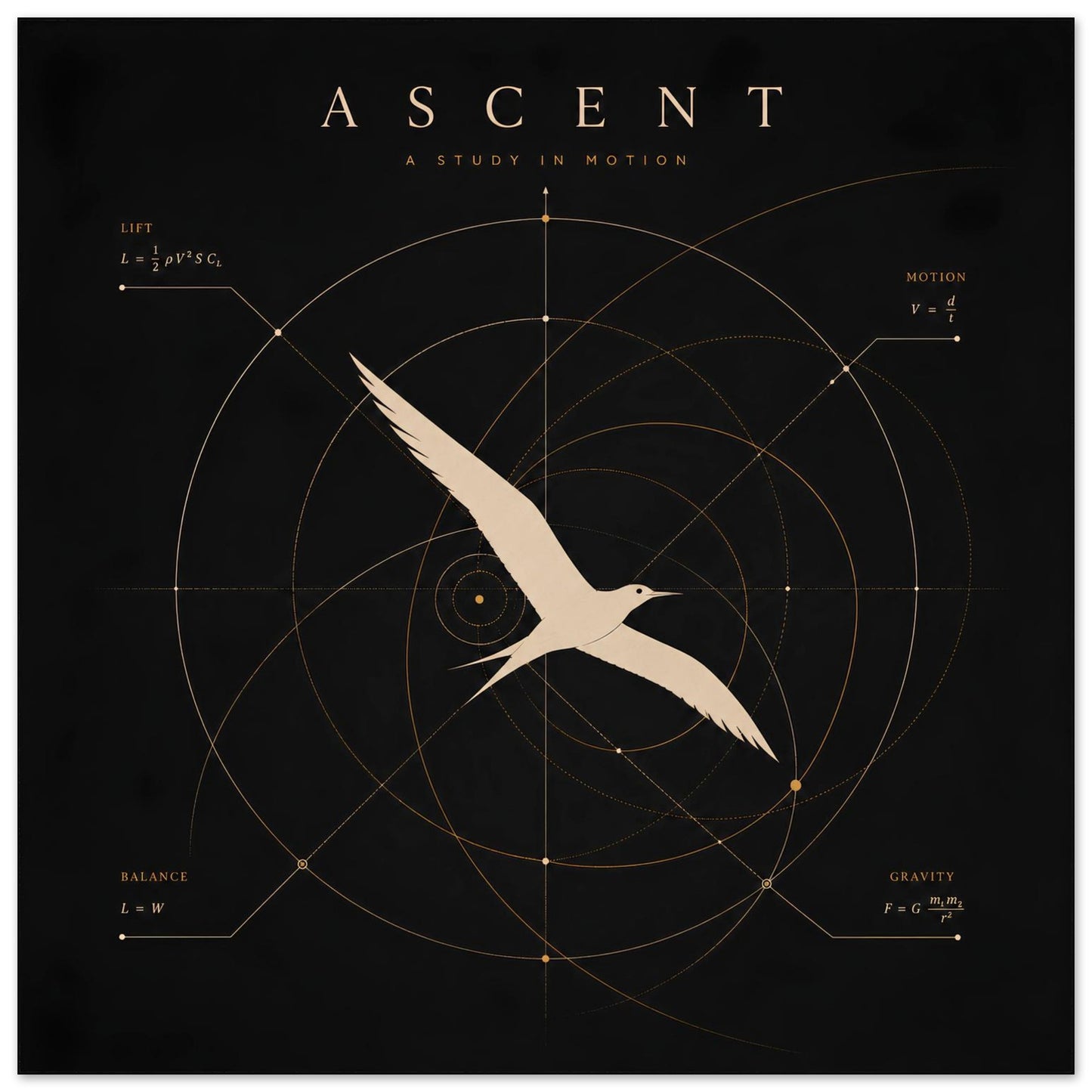Close-up of a minimalist bird wall art print featuring geometric diagrams inspired by the science of flight.