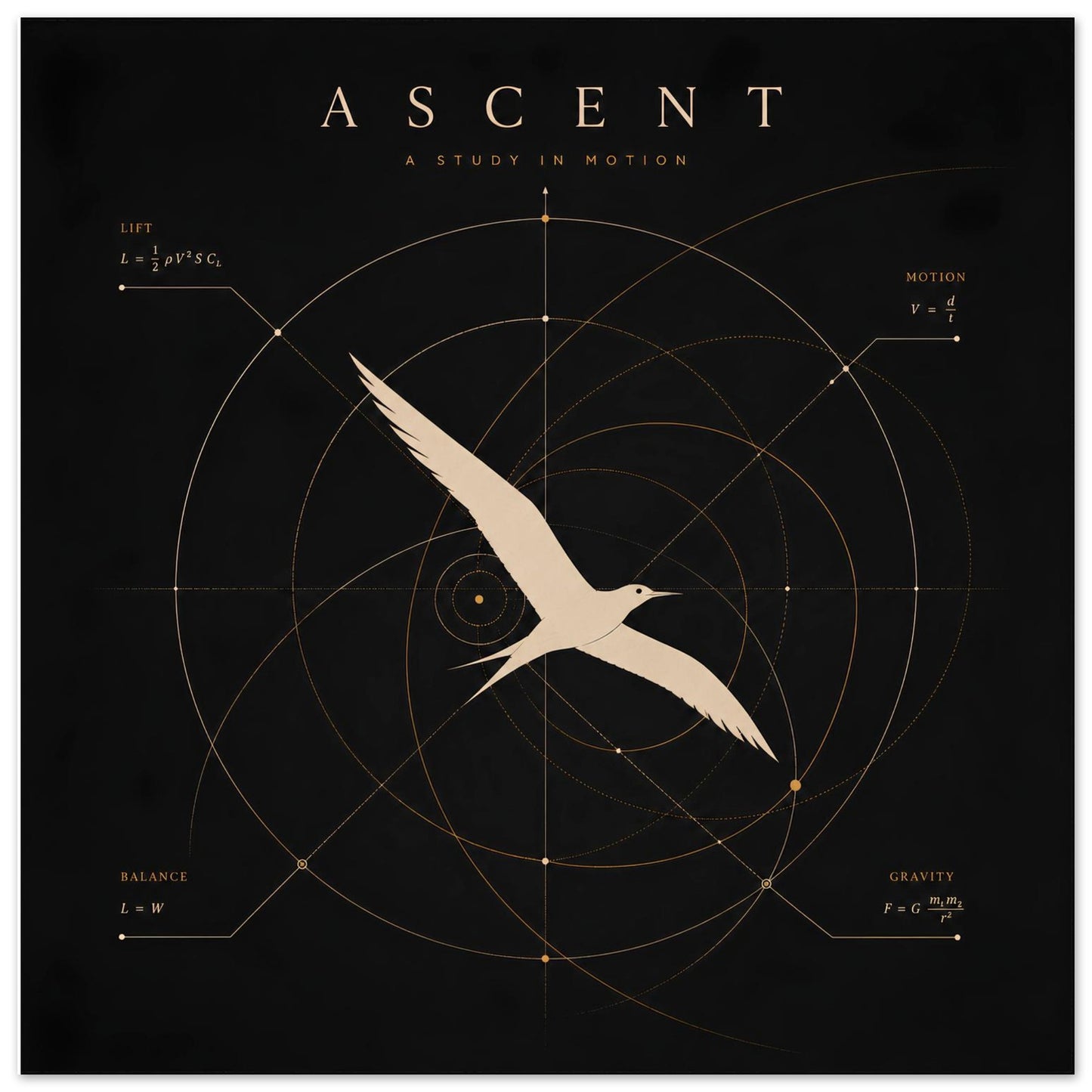 Close-up of a minimalist bird wall art print featuring geometric diagrams inspired by the science of flight.