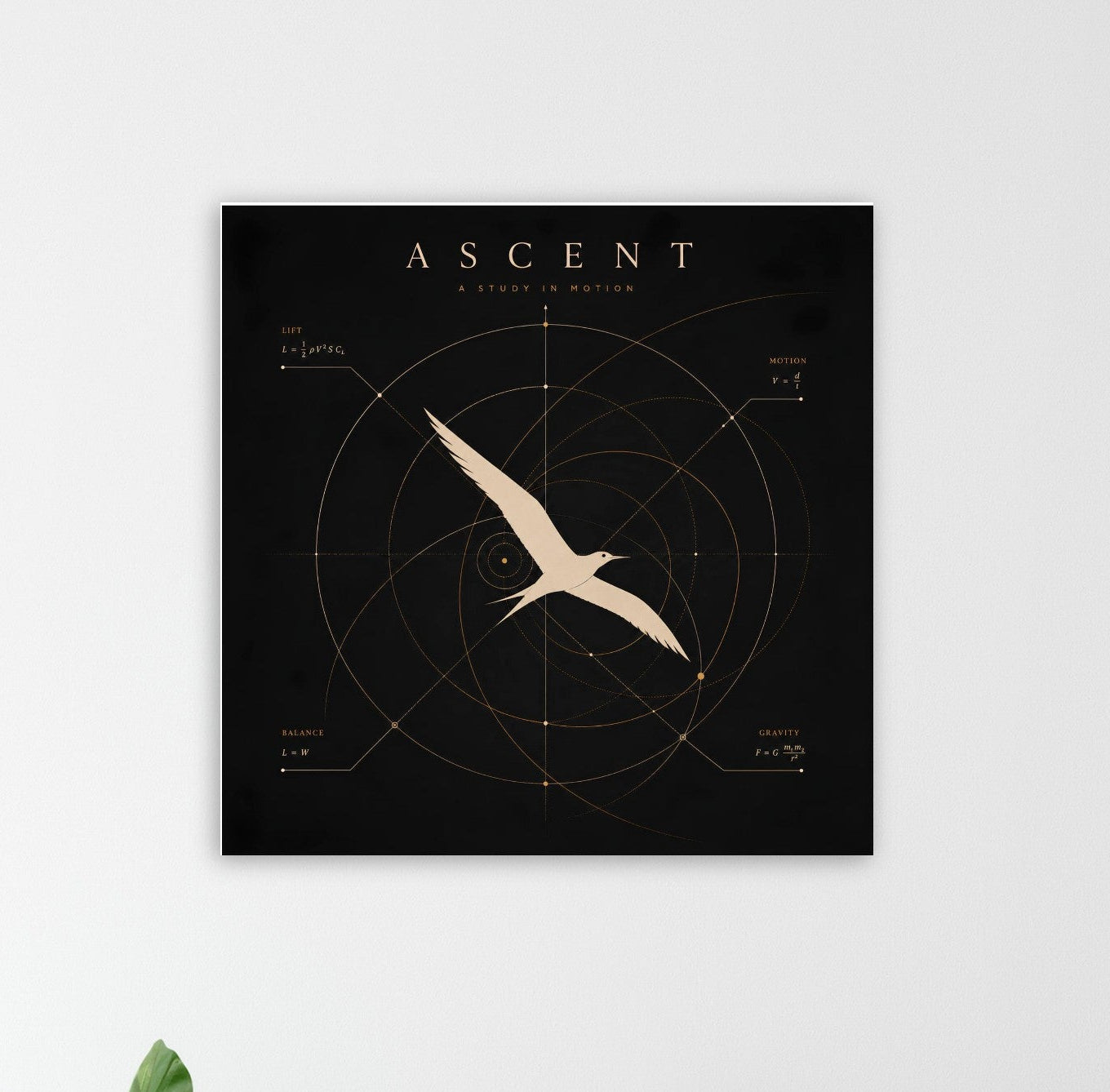 Minimalist Bird Wall Art – Scientific Flight Geometry Print