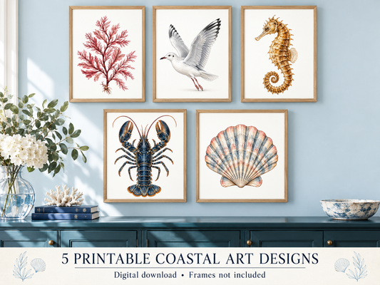 A styled interior scene showing five framed coastal art prints mounted on a light blue wall above a dark teal console table. The prints depict a red coral reef, a white seagull, a golden seahorse, a blue lobster, and a pink-and-blue scallop shell.