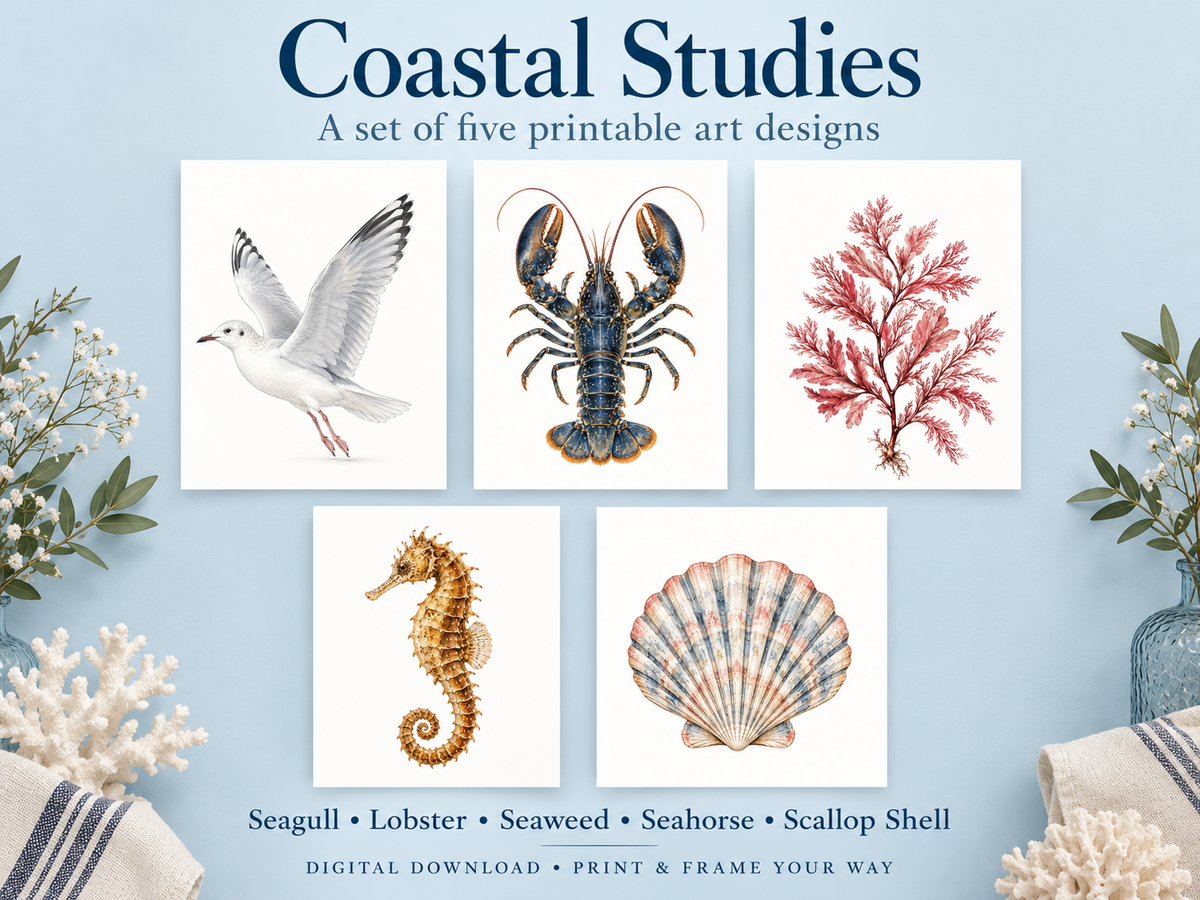 Promotional graphic for a coastal art print set titled 'Coastal Studies,' showing five illustrated designs: a seagull, lobster, seaweed, seahorse, and scallop shell. The set is presented on a light blue background with decorative nautical props and text noting it is a digital download and print/frame option.