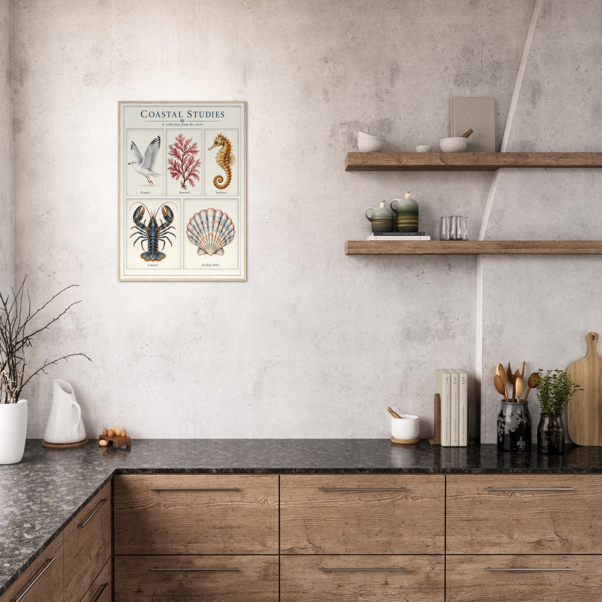 A framed vintage-style botanical and animal print titled 'COASTAL STUDIES' hangs on a textured light gray wall above a kitchen counter with wooden cabinets and floating shelves.