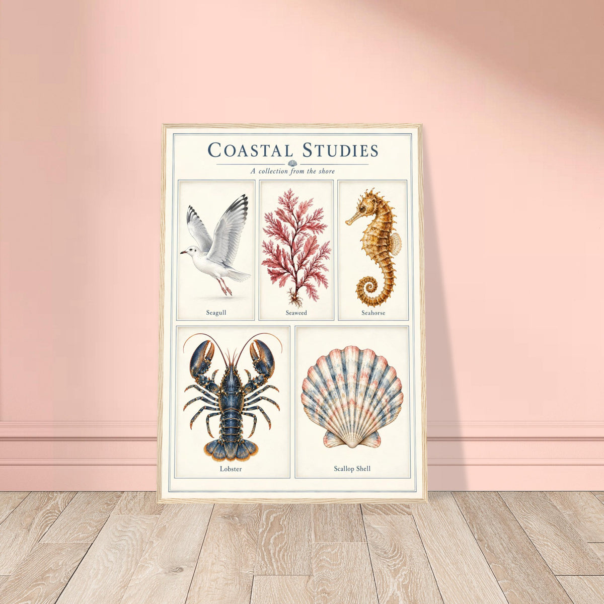 A framed vintage-style educational poster titled 'COASTAL STUDIES' leaning against a pink wall on a light wood floor. The poster features illustrated sea life and plants: a seagull, seaweed, a seahorse, a lobster, and a scallop shell.