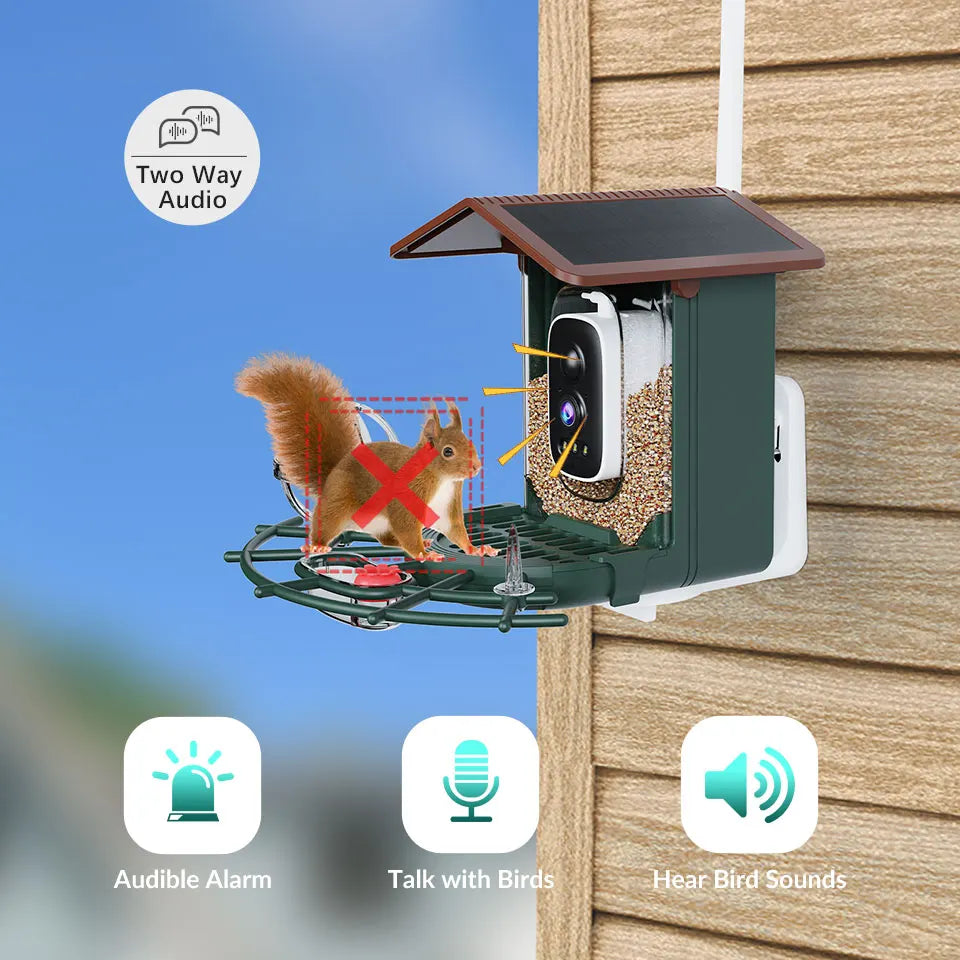 Smart solar bird feeder camera mounted outdoors with WiFi connection.