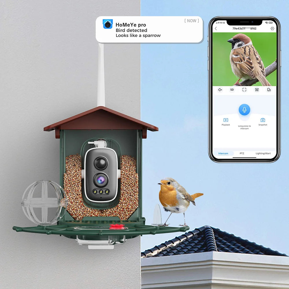 Bird feeder with camera and bird seed, smartphone app displaying bird identification on a clear sky background