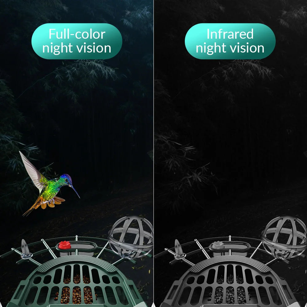 Smart solar bird feeder camera mounted outdoors with WiFi connection showing full colour night vision and infrared night vision